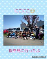 にこにこ☺️昨日幼稚園の桜を見に行きました🎵風が強かったけど、お花を見たあとにつくしを探したり虫さんを見て、春を感じていました✨