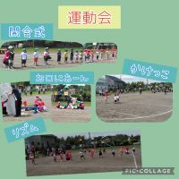 にじくみ🌈ドキドキワクワクの運動会！年少初めての大きな行事でしたが、力一杯頑張った姿を見て成長を感じました😊たくさんのご協力と拍手を頂きましてありがとうございました！