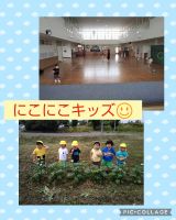 にこにこキッズ☺️暑い日が続いていますね！今日はお外が暑かったので、ホールで遊びました🎵先日おいもも見に行って｢大きくなってるー‼️｣と収穫の日を楽しみにしていました✨