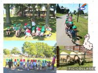 にじくみ🌈今日は、園外保育でさとらんどに行きました🐏間近で見る羊やヤギに大興奮❗️通りがかったSL号にもくぎ付けでした😁広場ではのびのびと駆け回っていましたよ☺️手を繋いで真っ直ぐ歩くことが上手になって来たみんなとの、次の園外保育も楽しみです✨