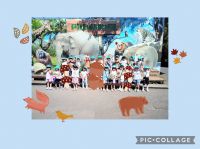 ぞうくみ🐘円山動物園へ行って来ました！「いっぱい動物見るぞ🎵」と張り切り、たくさんの種類の動物に「わあ、大きい！」「こっちに来たよ✨」と驚きと感動の時間でした😊