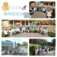 にじくみ🌈とってもよいお天気の中、動物園遠足に行きました🐘動物達が間近に来てくれて、みんな興味津々で観察していましたよ😆