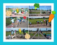 ぞうくみ🐘さとらんどに遊びに行ってきました！どの遊具も目をキラキラ輝かせながら遊んでいて、大満足な様子でした😆💓帰りに「楽しかったね～！」と余韻に浸る子もいましたよ😌