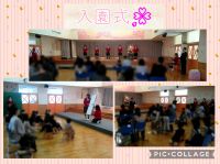 今日は入園式がありました🌸みんなの元気一杯な姿が見られて、とても嬉しかったです😌これから、お友達や先生達と一緒にたくさん思い出を作っていきましょうね！月曜日からの登園をお待ちしております✨