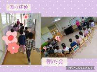 きりんくみ🦒年中さんになり、一週間が経ちました！お部屋では毎日元気な笑い声が響いています☺️先日はみんなで園内探検をしました！これから一緒に色々なことを楽しく経験していきましょうね🎵