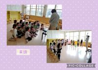 きりんくみ🦒先日は、英語がありました！「はらぺこあおむし」を見たり、歌を歌ったりしました🎵みんなとても楽しそうに取り組んでいましたよ☺️