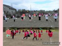 さくらくみ🌸皆の真剣な表情や素敵な笑顔がたくさん見られましたね！そして、年長として素晴らしい運動会となりました✨たくさんの応援と拍手をありがとうございました！