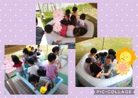 きりんくみ🦒先日は、水遊びをしました☀️水鉄砲やじょうろなどを使い、とても楽しんでいましたよ☺️