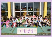 きりんくみ🦒今日は、いもほりでした！✨しっかり掘って、たくさんおいもを見つけていました💪「ポテトチップスにする！」「カレーに入れる！」と楽しみにしていましたよ😊