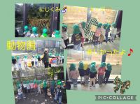 にじくみ🌈にこにこキッズ☺️円山動物園へ行きました✨トラがすぐ近くに歩いてきたのにビックリ、ペンギンがすいすい泳いできたのでニッコリ、「ぞうさーん、こっちに来て🌳」と呼びかけたり、楽しい時間を過ごしました😆