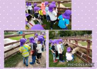 きりんくみ🦒今日はさとらんどへ行ってきました😊やぎさんや、ひつじさんにニンジンをあげましたよ🥕