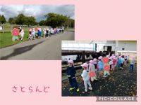 さくらくみ🌸先週は園外保育で「さとらんど」に行きました。間近で見る動物達に、興味津々でしたよ🐴🐮